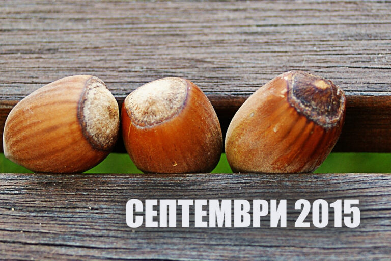 Най-четените статии през септември 2015 г. 16 Най-четените статии през септември 2015 г.