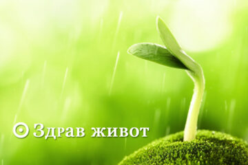 Честит рожден ден на сайта Здрав живот!